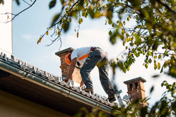 Best Flat Roof Repair Services  in East Bronson, FL