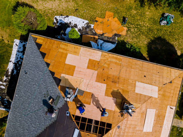 Best Metal Roofing Contractor  in East Bronson, FL